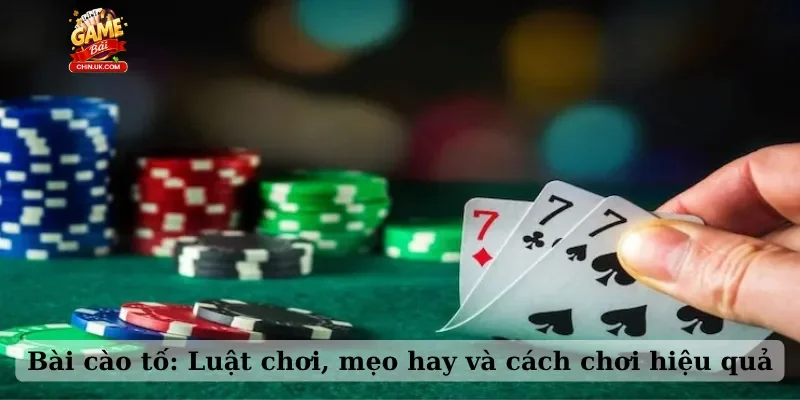 Bài cào tố: Luật chơi, mẹo hay và cách chơi hiệu quả
