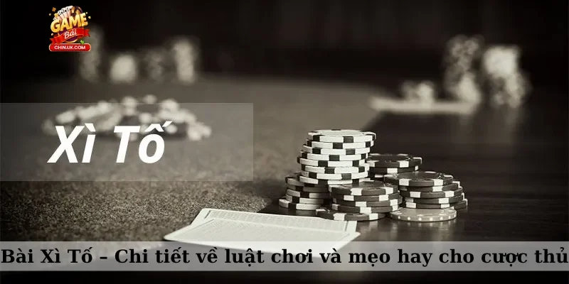Bài Xì Tố – Chi tiết về luật chơi và mẹo hay cho cược thủ