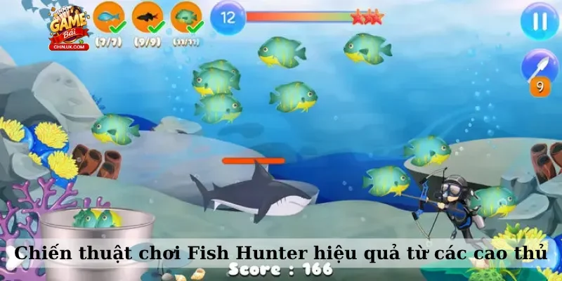 Chiến thuật chơi Fish Hunter hiệu quả từ các cao thủ
