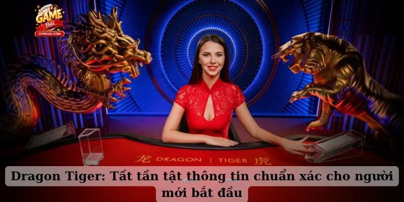 Dragon Tiger: Tất tần tật thông tin chuẩn xác cho người mới bắt đầu