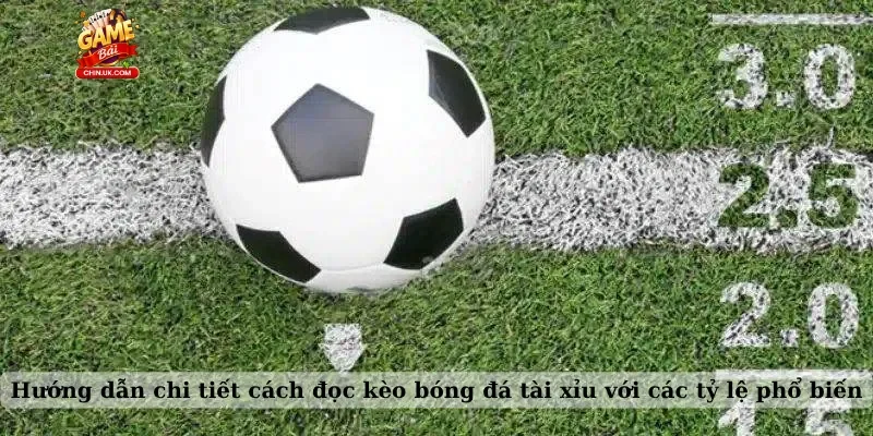 Hướng dẫn chi tiết cách đọc kèo bóng đá tài xỉu với các tỷ lệ phổ biến