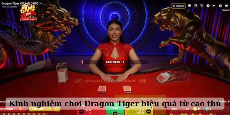 Kinh nghiệm chơi Dragon Tiger hiệu quả từ cao thủ