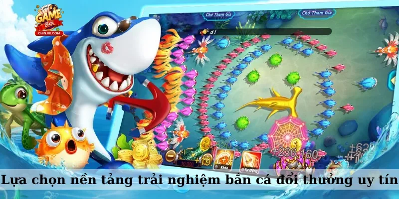 Lựa chọn nền tảng trải nghiệm bắn cá đổi thưởng uy tín