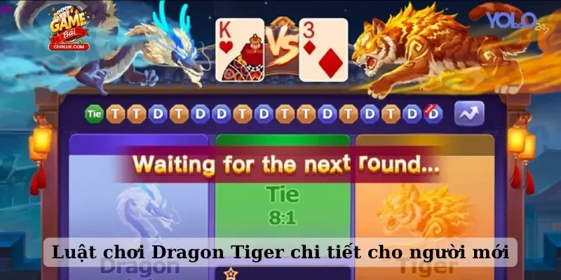 Luật chơi Dragon Tiger chi tiết cho người mới