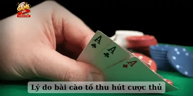 Lý do bài cào tố thu hút cược thủ