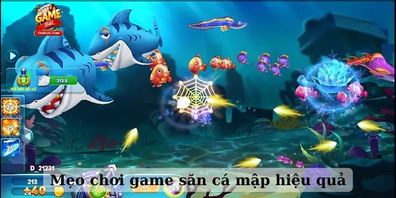 Mẹo chơi game săn cá mập hiệu quả