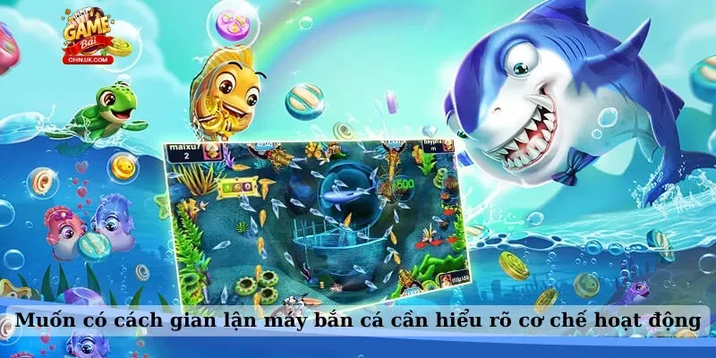 Muốn có cách gian lận máy bắn cá cần hiểu rõ cơ chế hoạt động