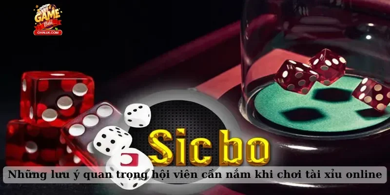 Những lưu ý quan trọng hội viên cần nắm khi chơi tài xỉu online