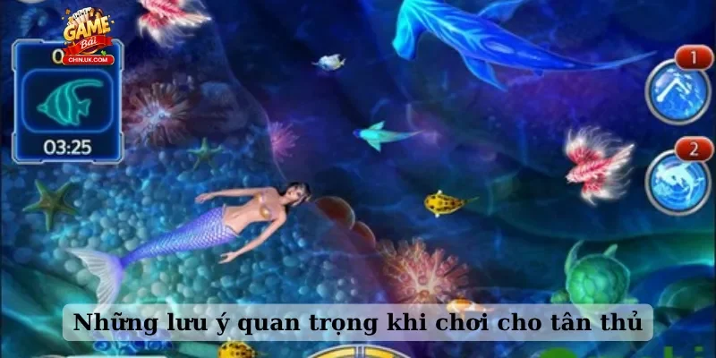 Những lưu ý quan trọng khi chơi cho tân thủ